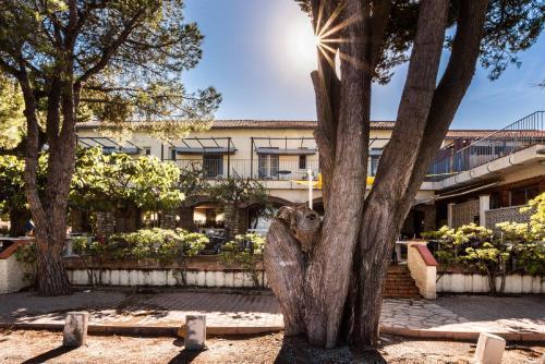 Hotel Oasis アルジェレス・シュル・メール エクステリア 写真